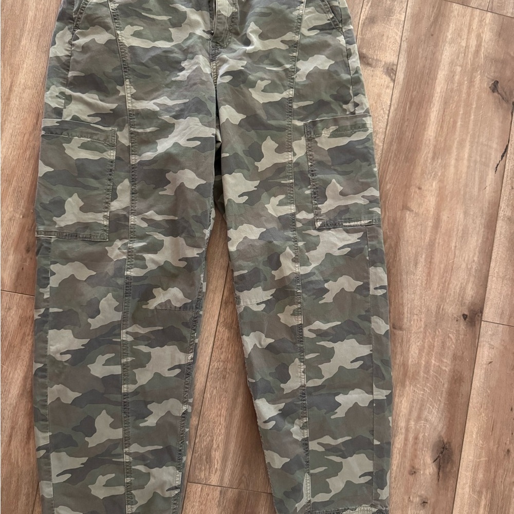 American Eagle Outfitters Green Camouflage Cargo Pants